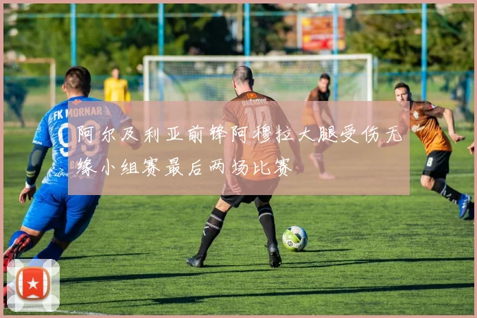 阿尔及利亚前锋阿穆拉大腿受伤无缘小组赛最后两场比赛