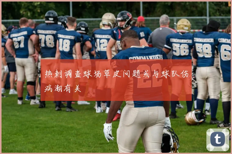 热刺调查球场草皮问题或与球队伤病潮有关